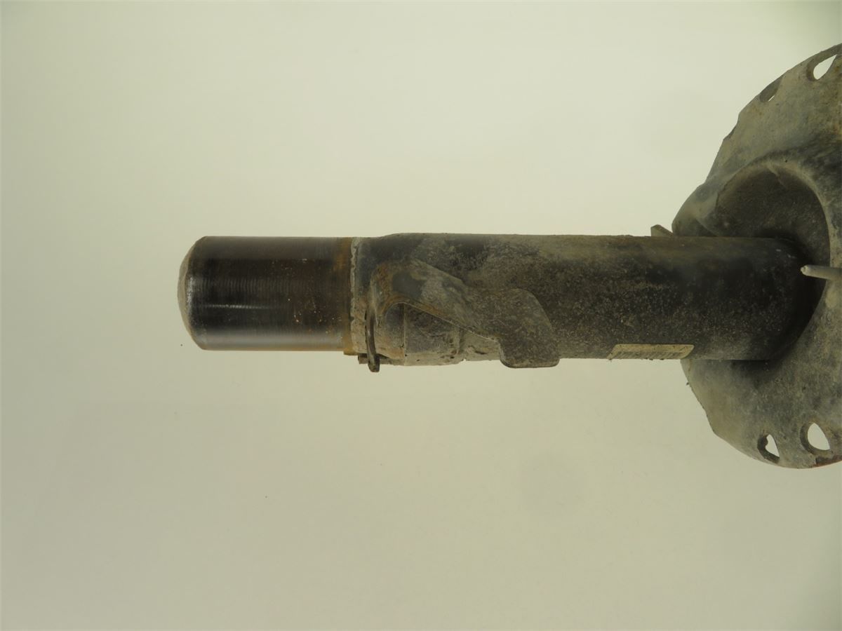Fjærbein Foran Høyre – bilde 3