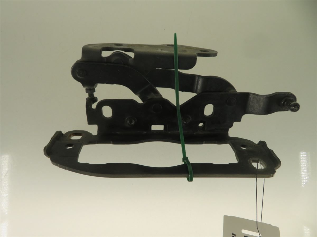 Panser Hengsel / Hengsler – bilde 2