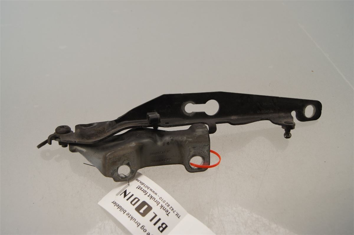 Panser Hengsel / Hengsler – bilde 1