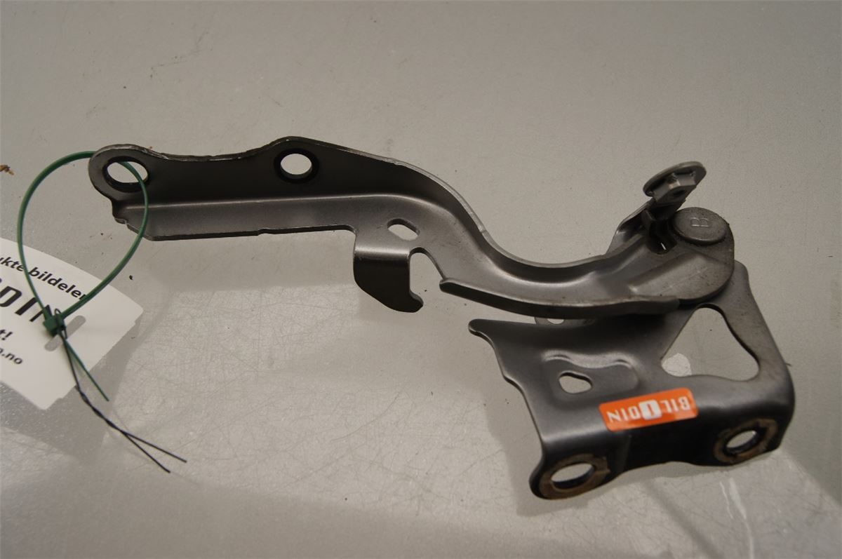 Panser Hengsel / Hengsler – bilde 1