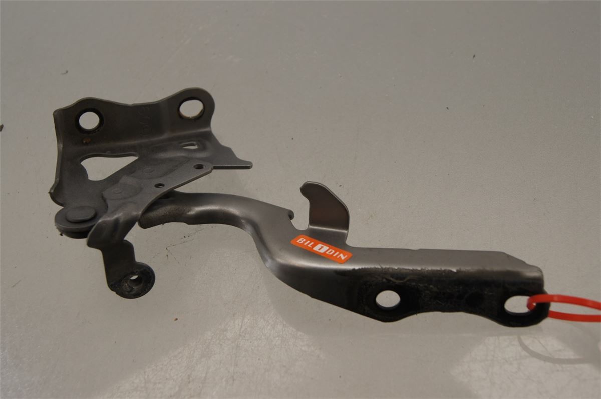 Panser Hengsel / Hengsler – bilde 1