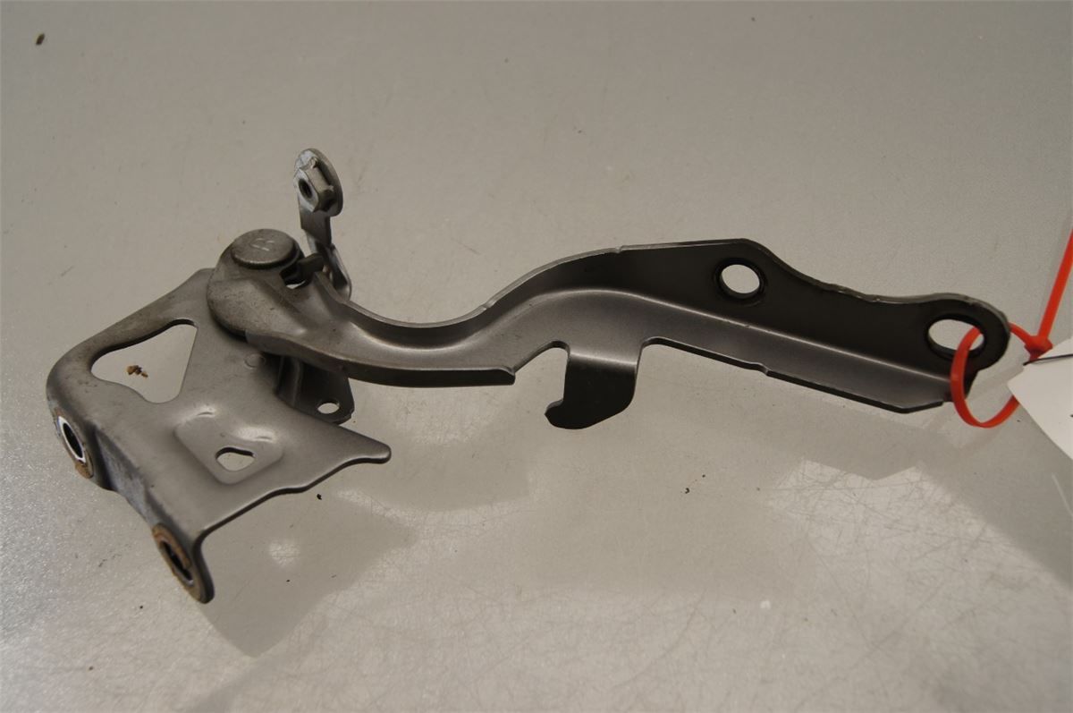 Panser Hengsel / Hengsler – bilde 2