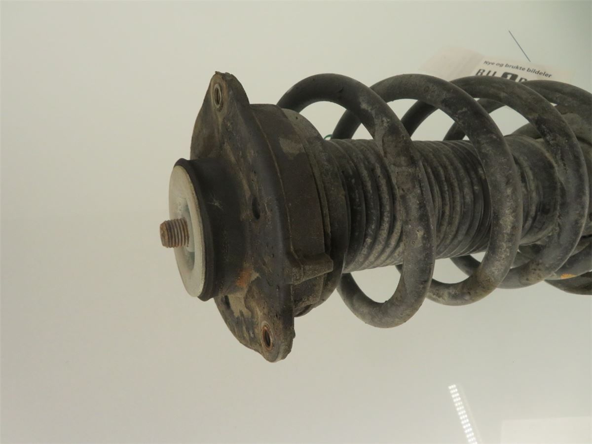 Fjærbein Foran Høyre – bilde 2