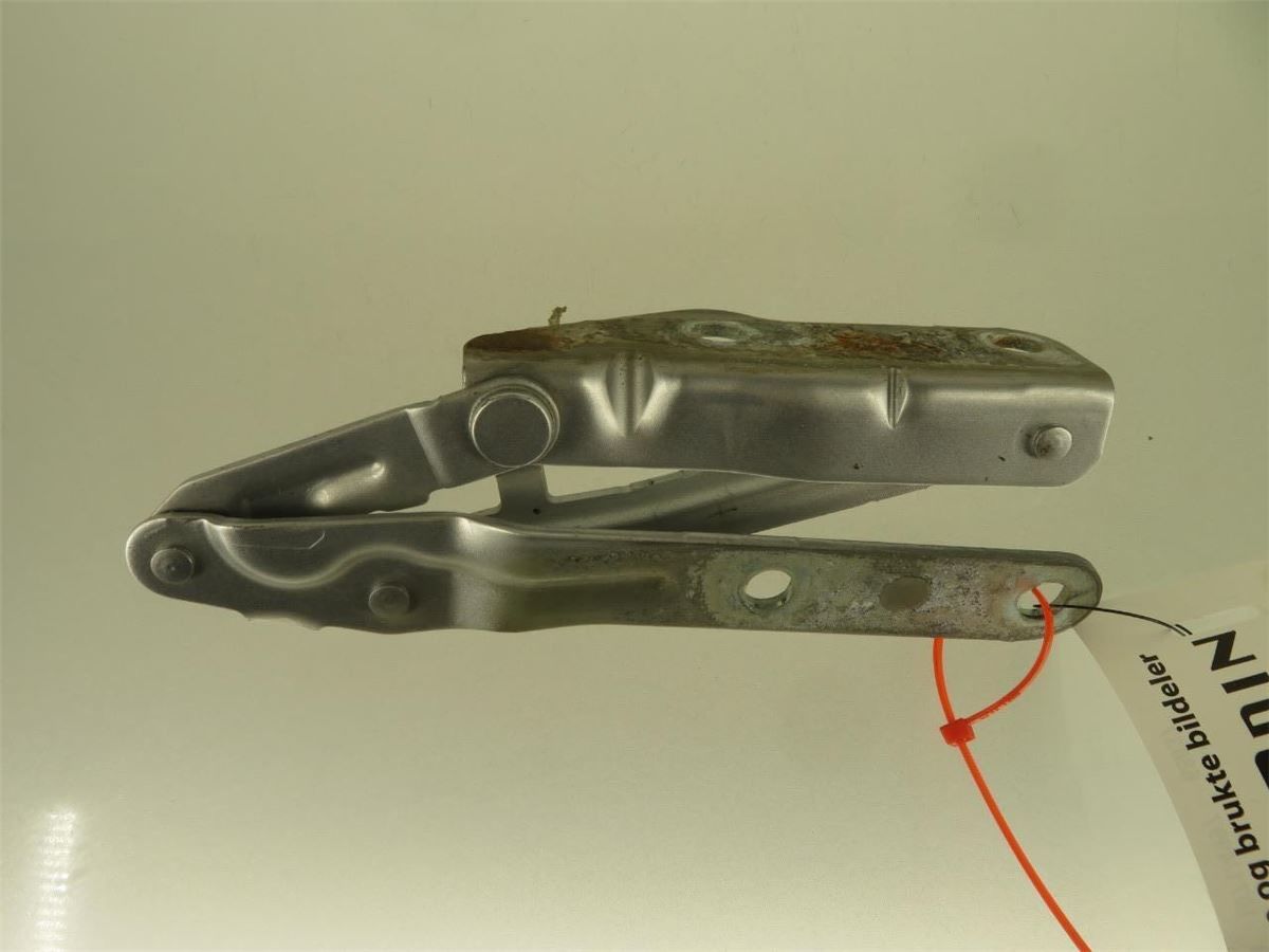 Panser Hengsel / Hengsler – bilde 1