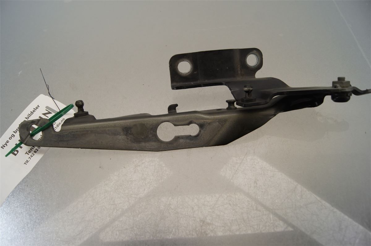 Panser Hengsel / Hengsler – bilde 3