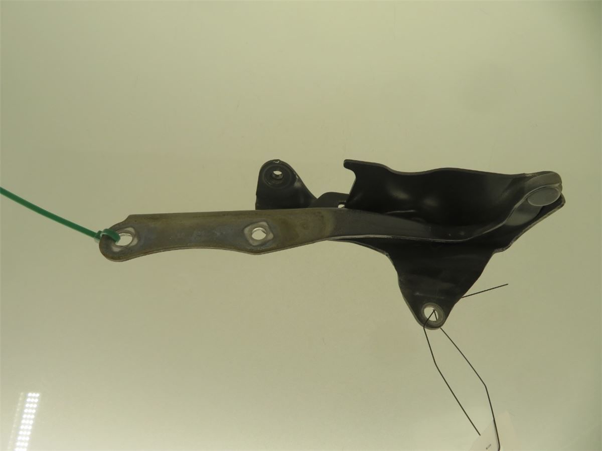 Panser Hengsel / Hengsler – bilde 1