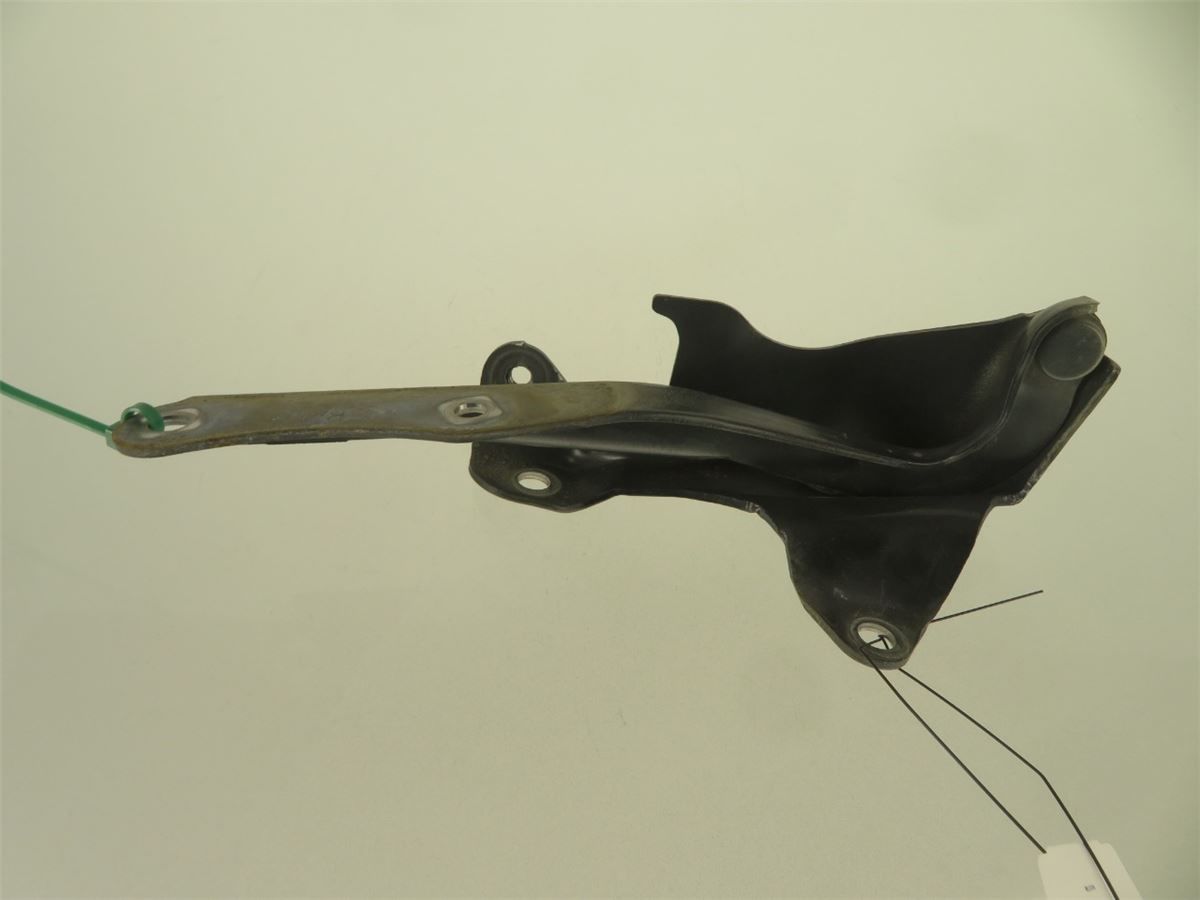 Panser Hengsel / Hengsler – bilde 2