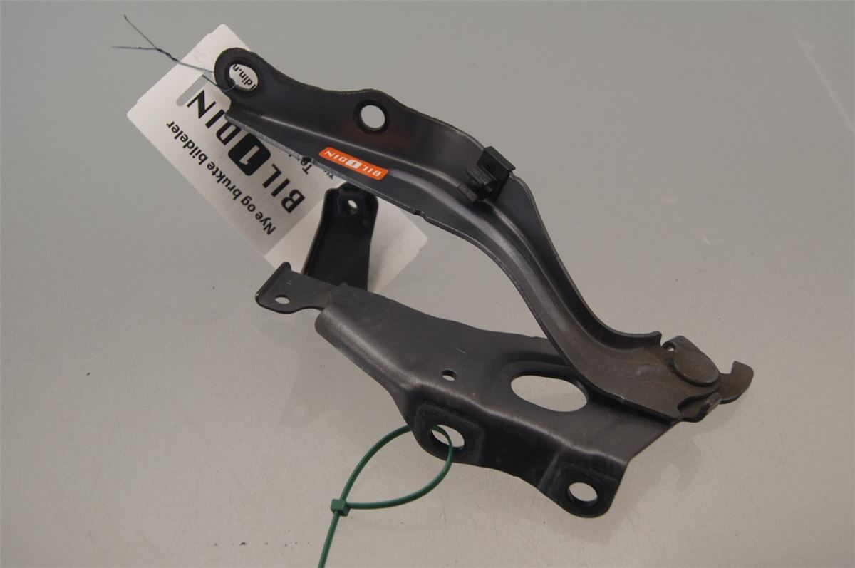 Panser Hengsel / Hengsler – bilde 1
