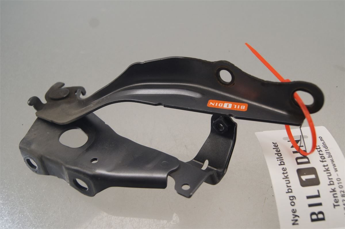 Panser Hengsel / Hengsler – bilde 1