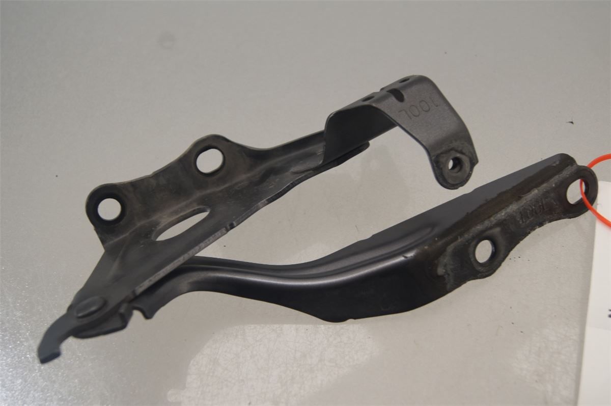 Panser Hengsel / Hengsler – bilde 2