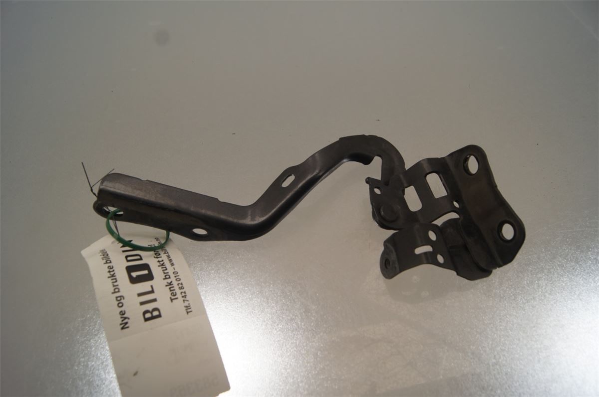 Panser Hengsel / Hengsler – bilde 1