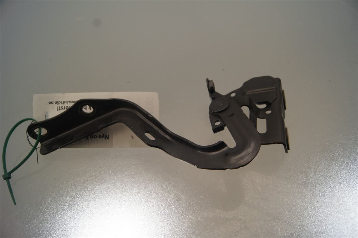 Panser Hengsel / Hengsler – bilde 2