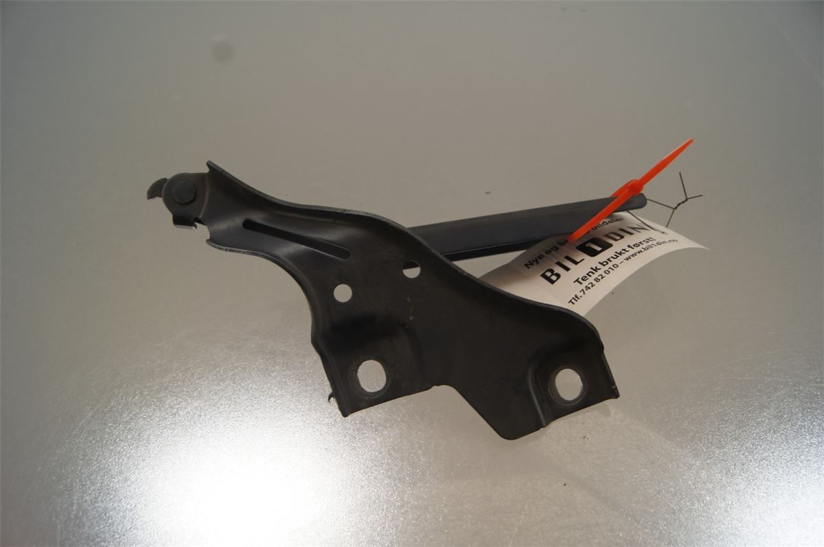 Panser Hengsel / Hengsler – bilde 3
