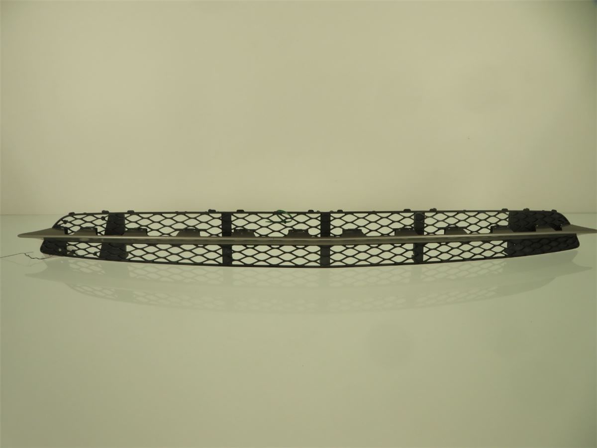 Grill / Gitter – bilde 1