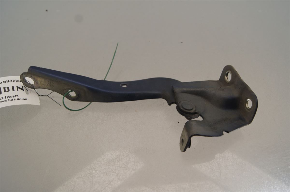 Panser Hengsel / Hengsler – bilde 2