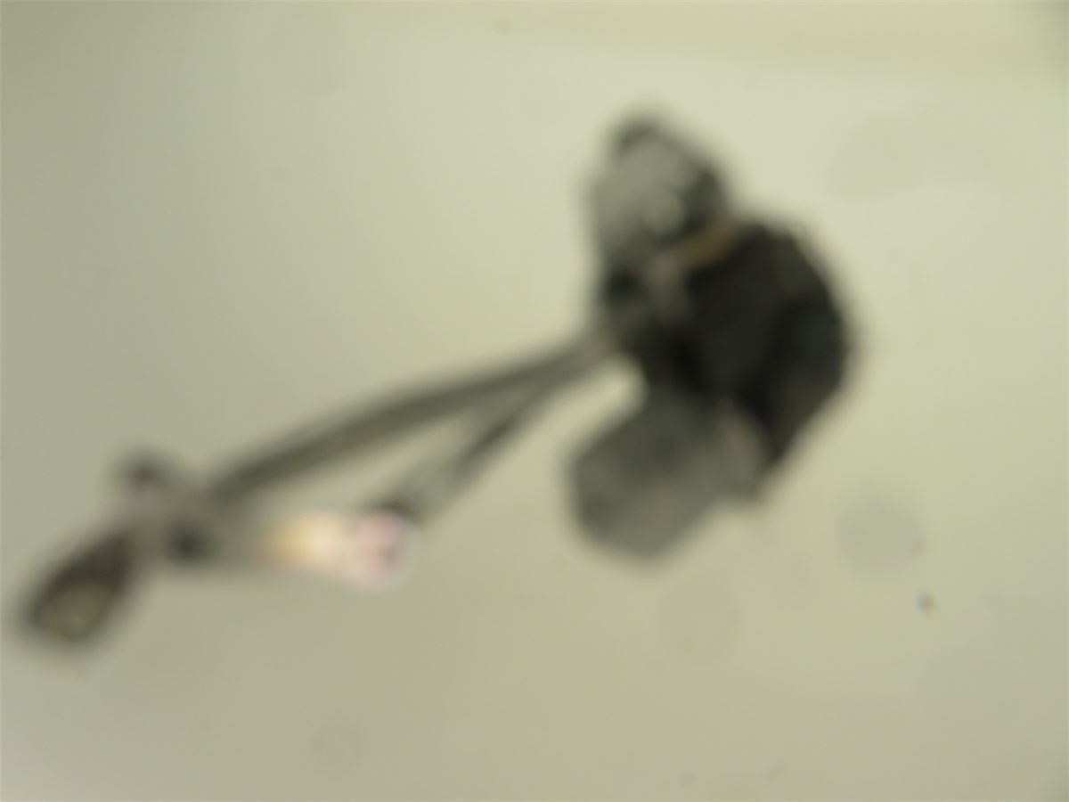 Viskermotor Frontrute – bilde 2