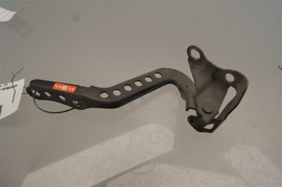 Panser Hengsel / Hengsler – bilde 1