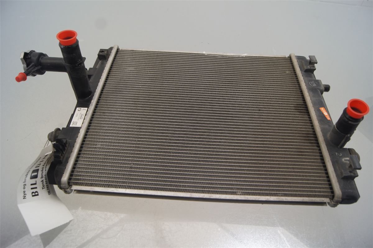 Radiator Manuell – bilde 1