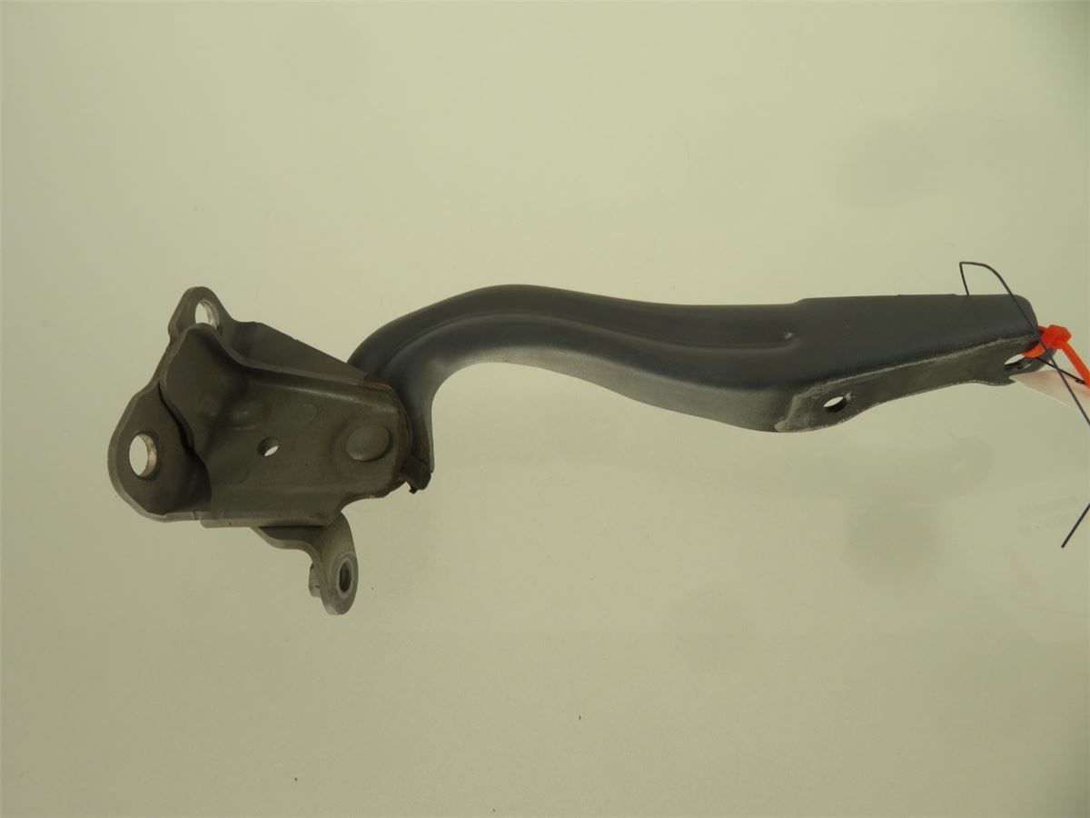 Panser Hengsel / Hengsler – bilde 2