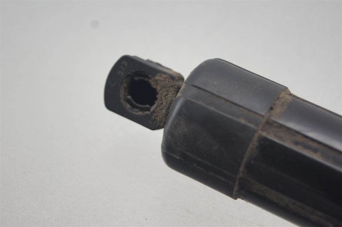 Bakluke Demper / Gassfjær – bilde 3