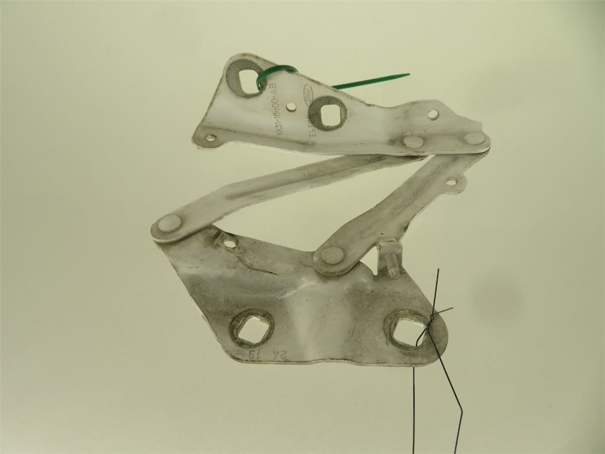 Panser Hengsel / Hengsler – bilde 1