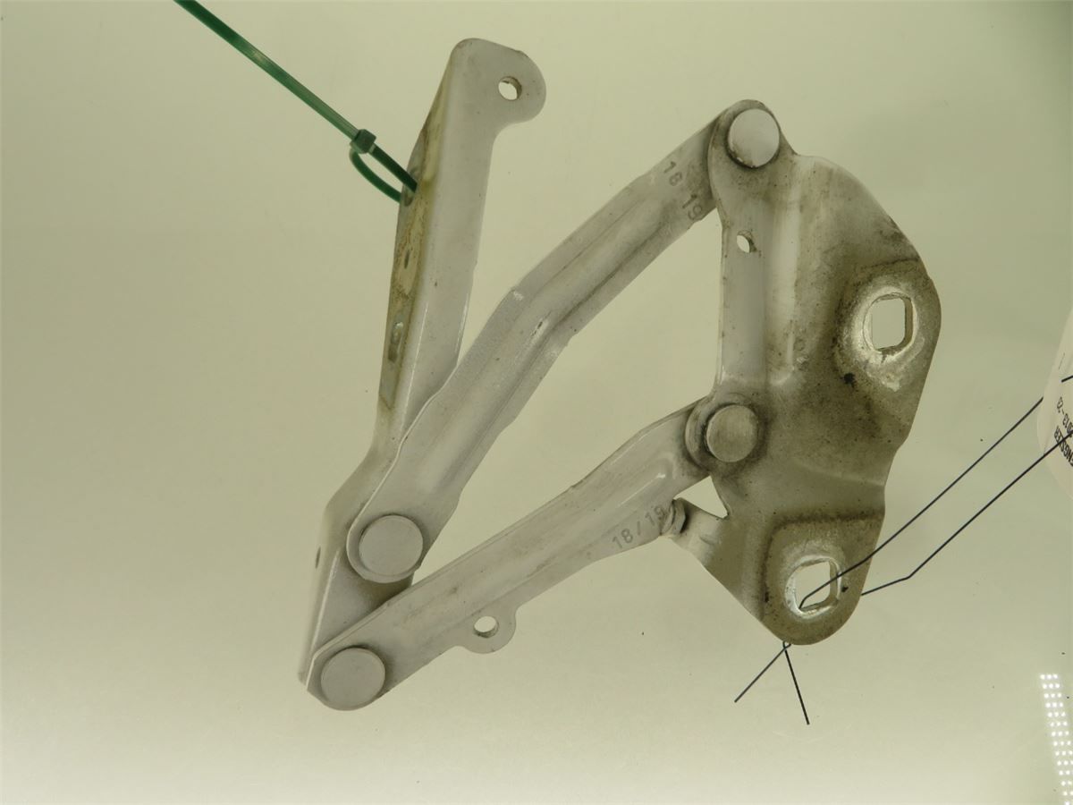Panser Hengsel / Hengsler – bilde 3