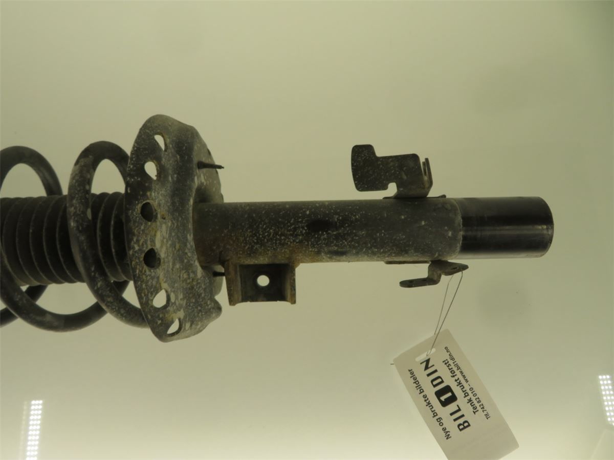 Fjærbein Foran Høyre – bilde 2
