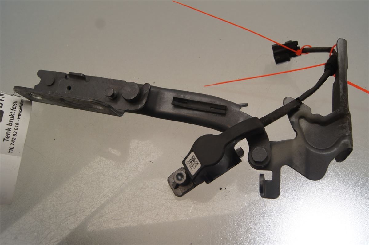 Panser Hengsel / Hengsler – bilde 1