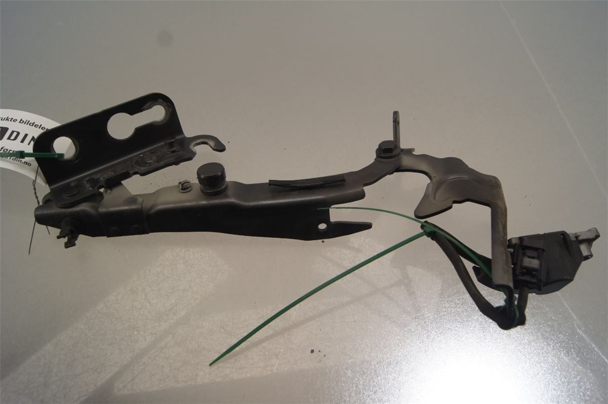 Panser Hengsel / Hengsler – bilde 1