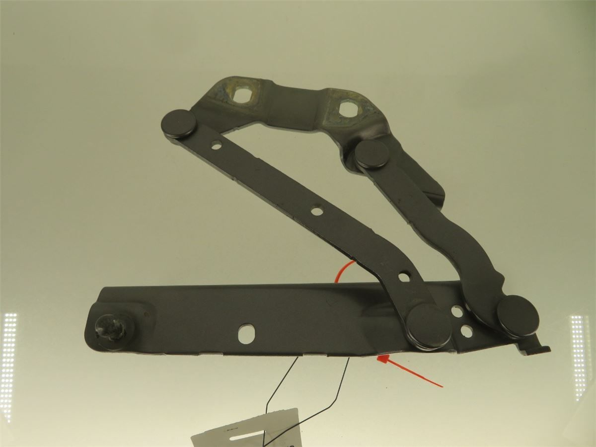 Panser Hengsel / Hengsler – bilde 1
