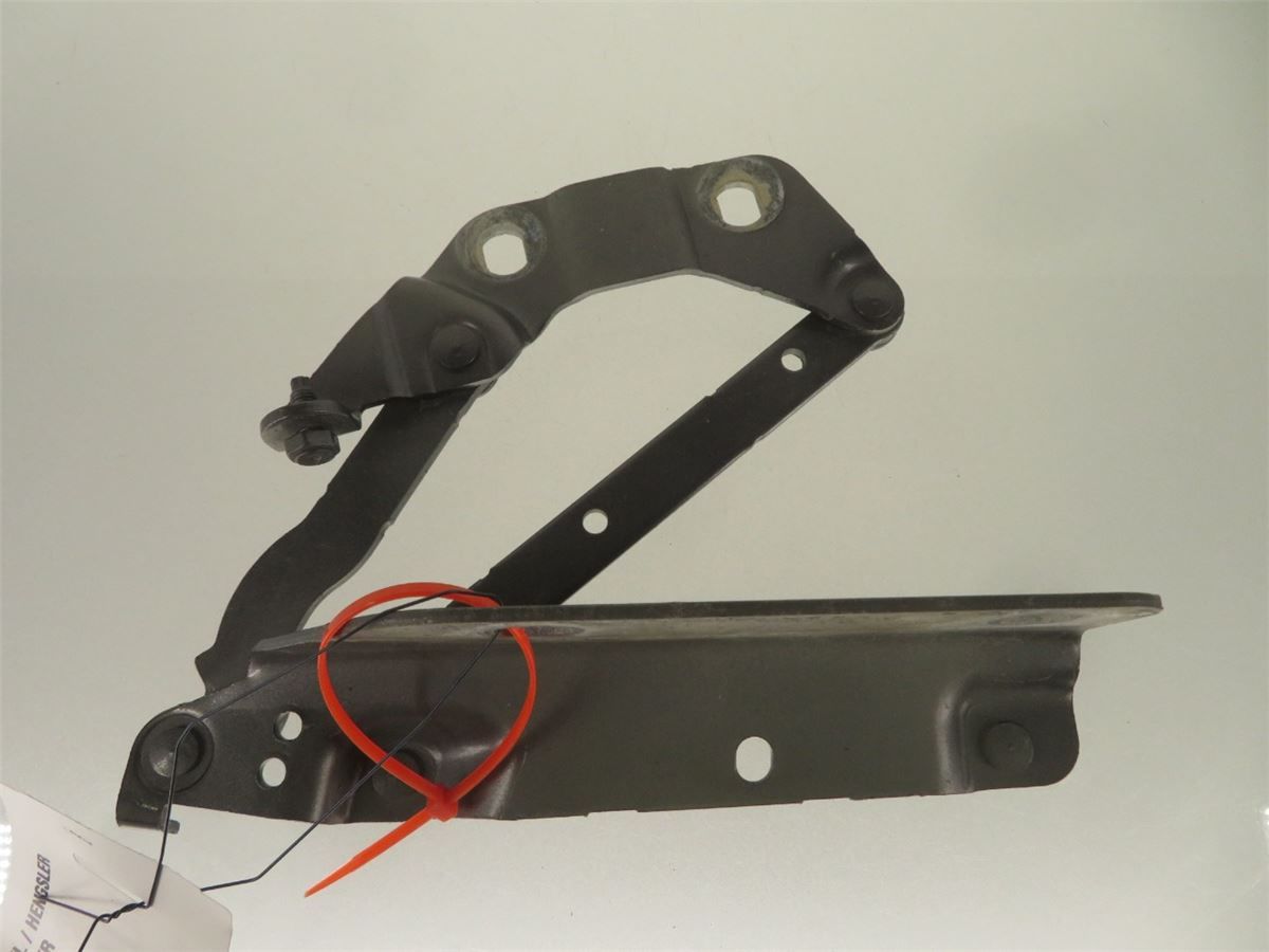 Panser Hengsel / Hengsler – bilde 2