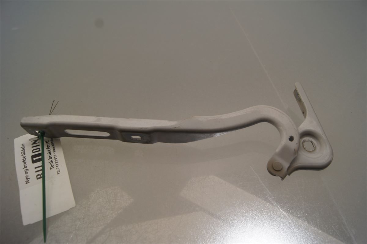 Panser Hengsel / Hengsler – bilde 2