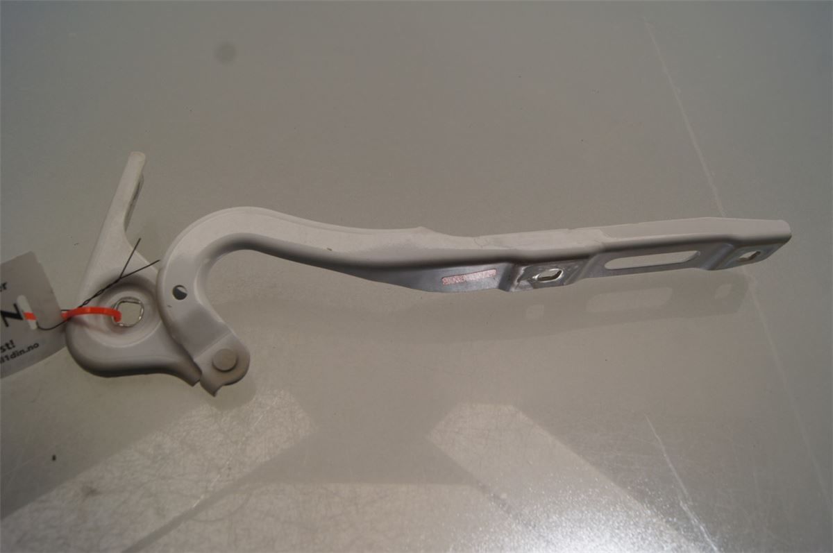 Panser Hengsel / Hengsler – bilde 1