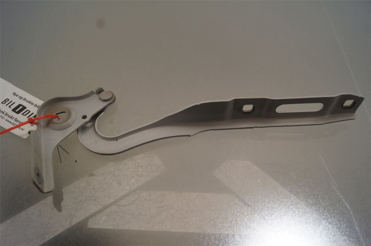 Panser Hengsel / Hengsler – bilde 2