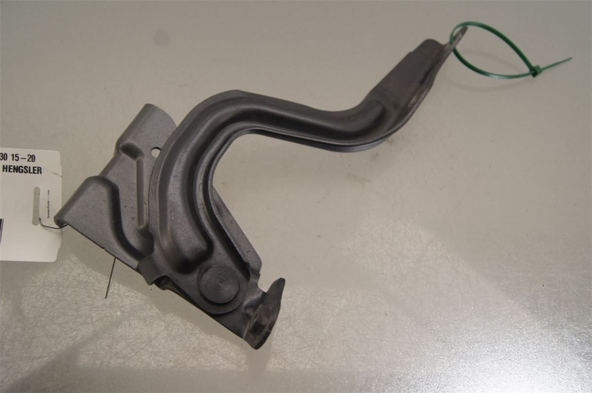 Panser Hengsel / Hengsler – bilde 1