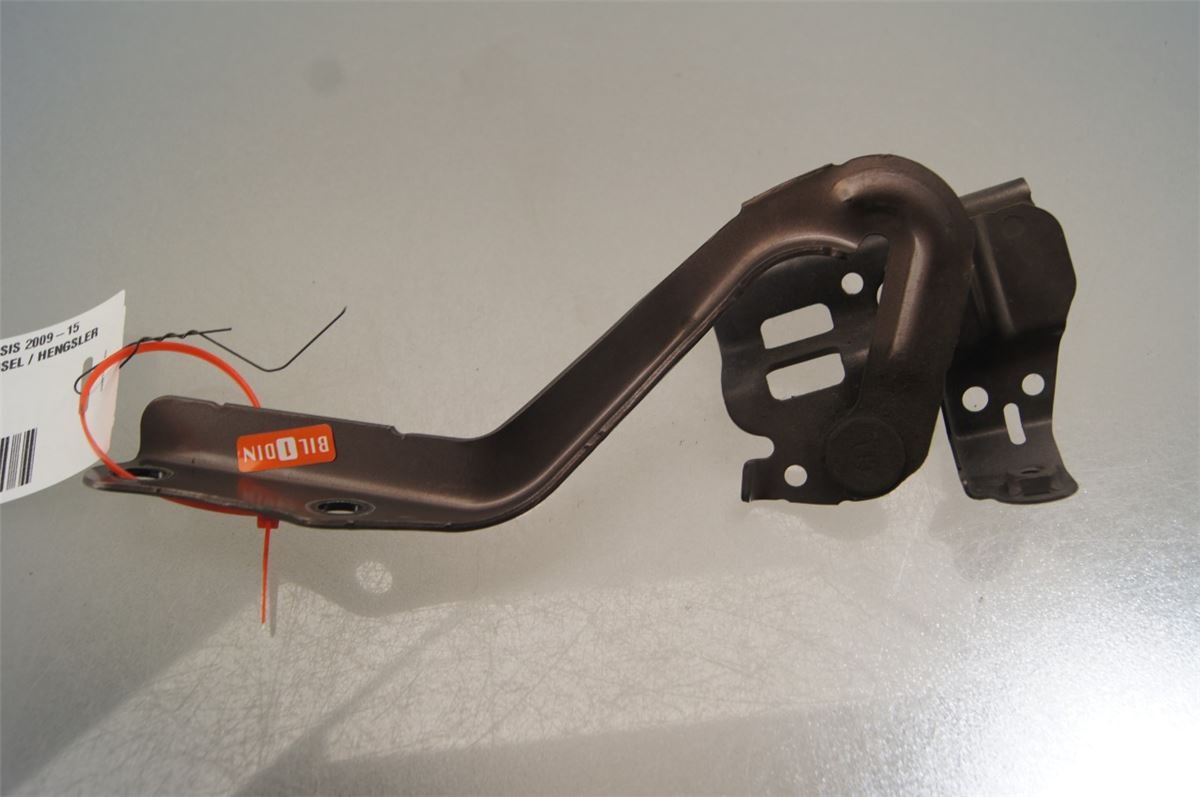 Panser Hengsel / Hengsler – bilde 1