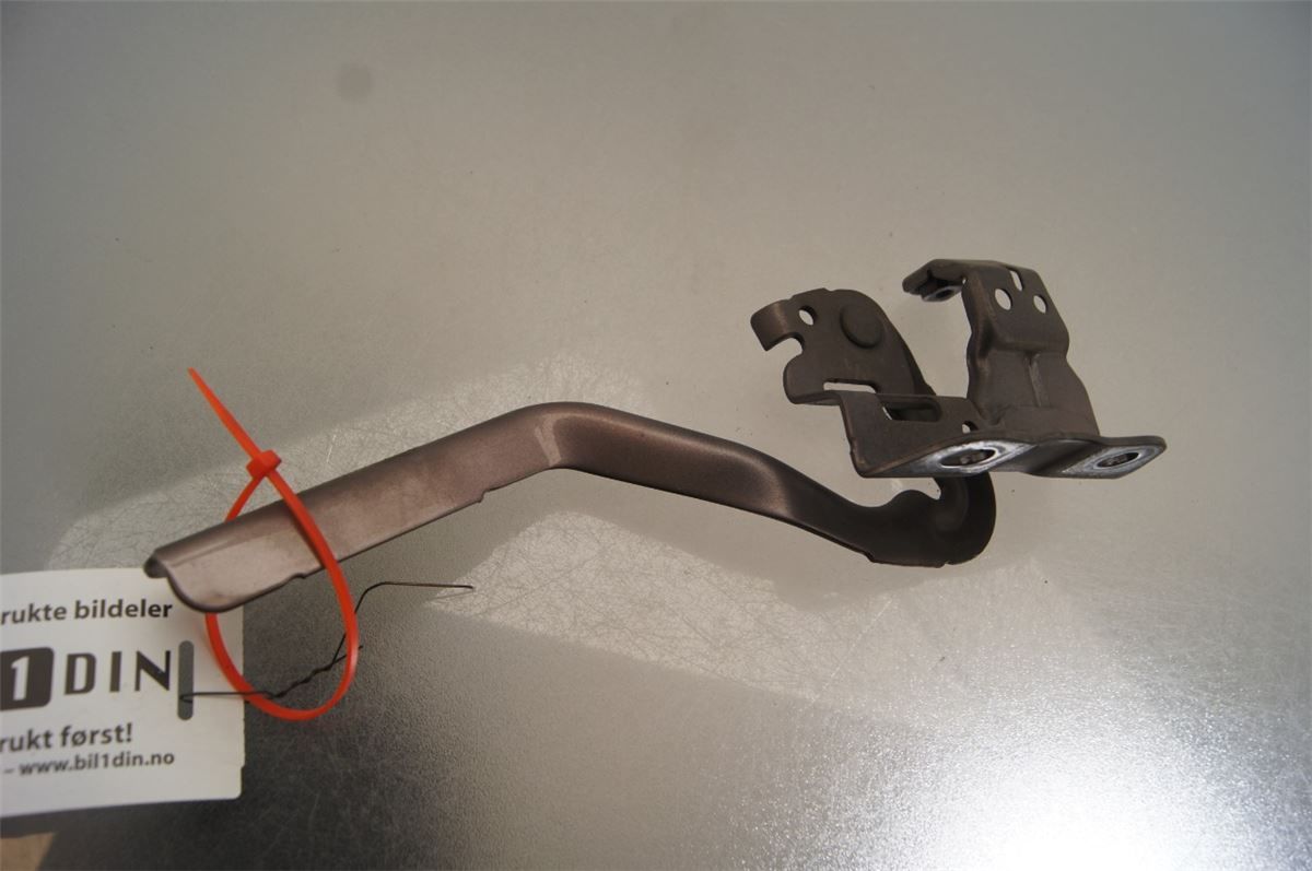 Panser Hengsel / Hengsler – bilde 2