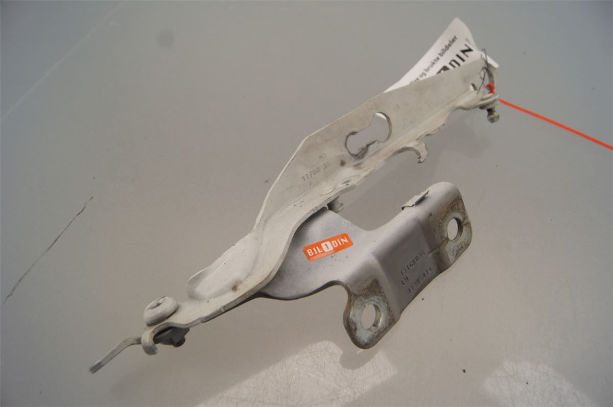 Panser Hengsel / Hengsler – bilde 1