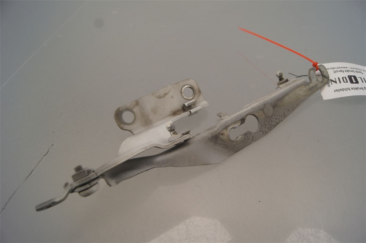 Panser Hengsel / Hengsler – bilde 2
