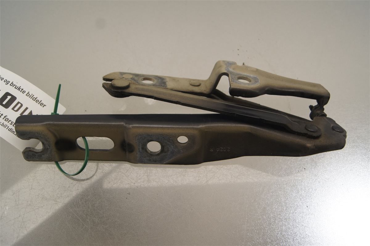 Panser Hengsel / Hengsler – bilde 2