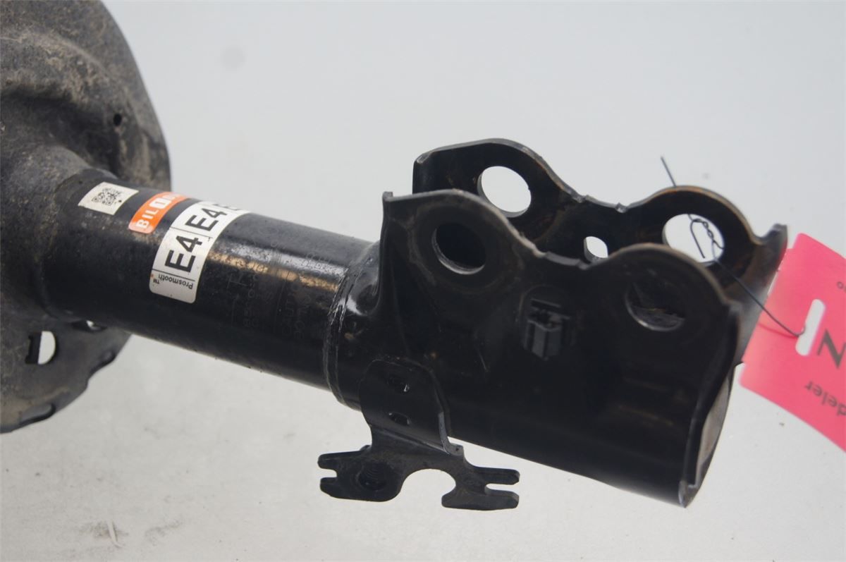 Fjærbein Foran Høyre – bilde 2