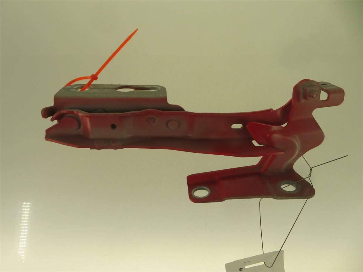 Panser Hengsel / Hengsler – bilde 1
