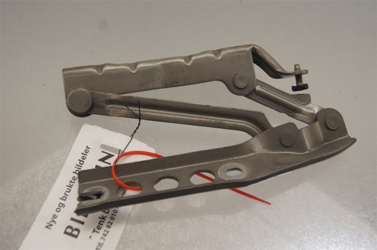 Panser Hengsel / Hengsler – bilde 1