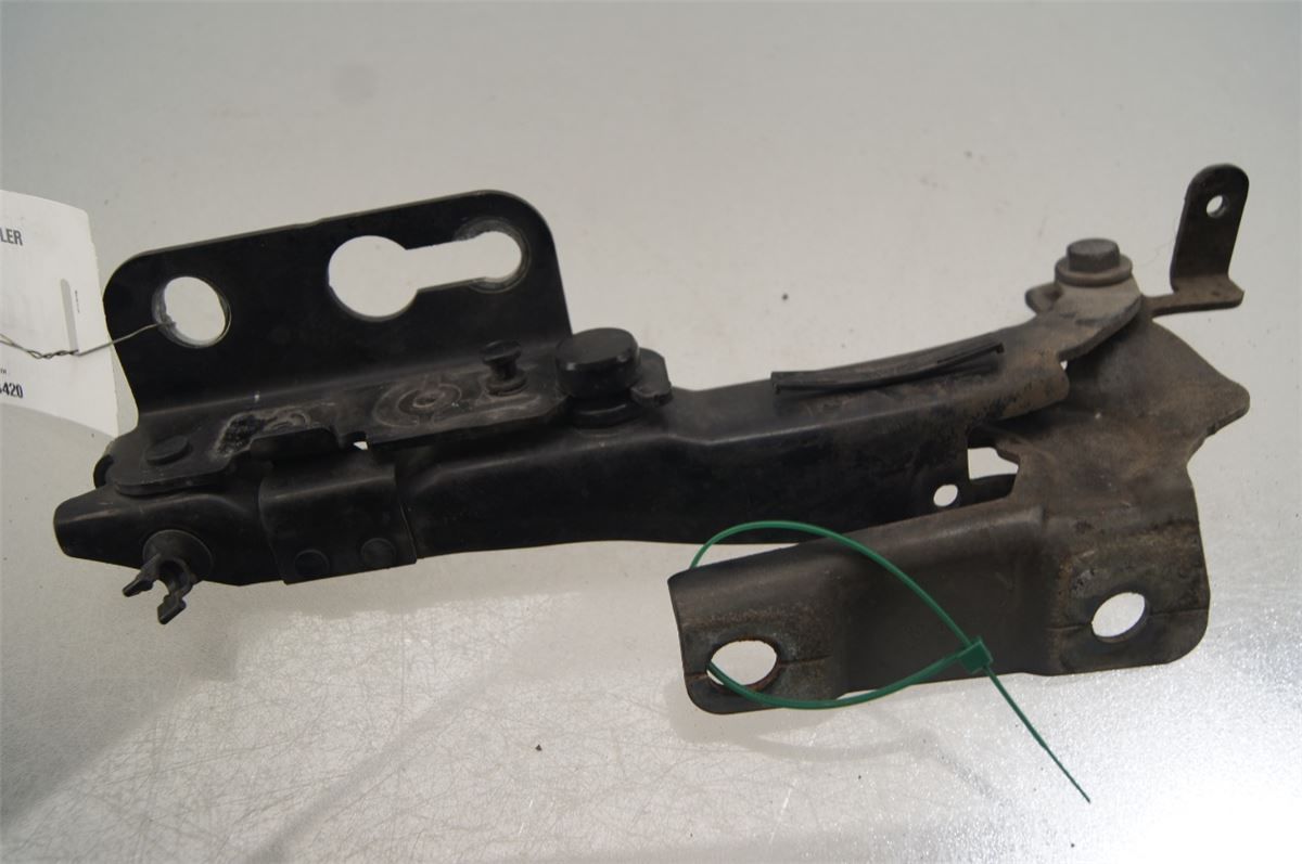 Panser Hengsel / Hengsler – bilde 1