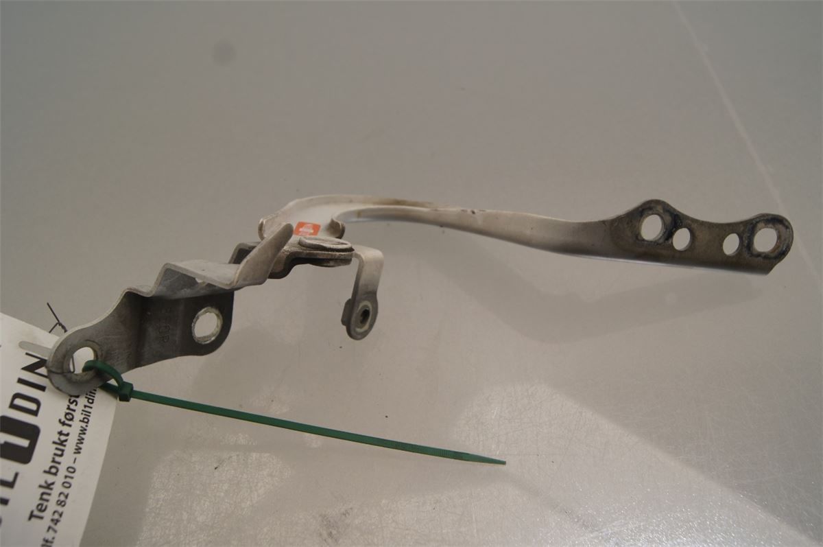Panser Hengsel / Hengsler – bilde 1