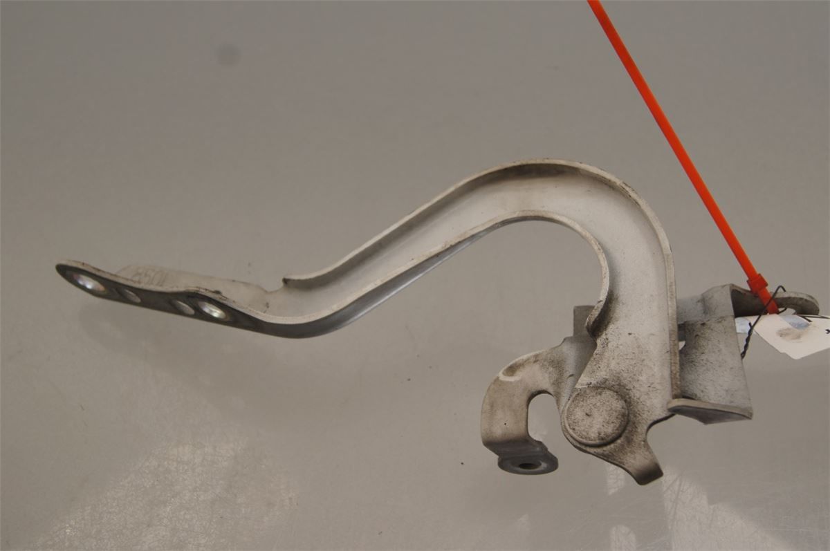 Panser Hengsel / Hengsler – bilde 1