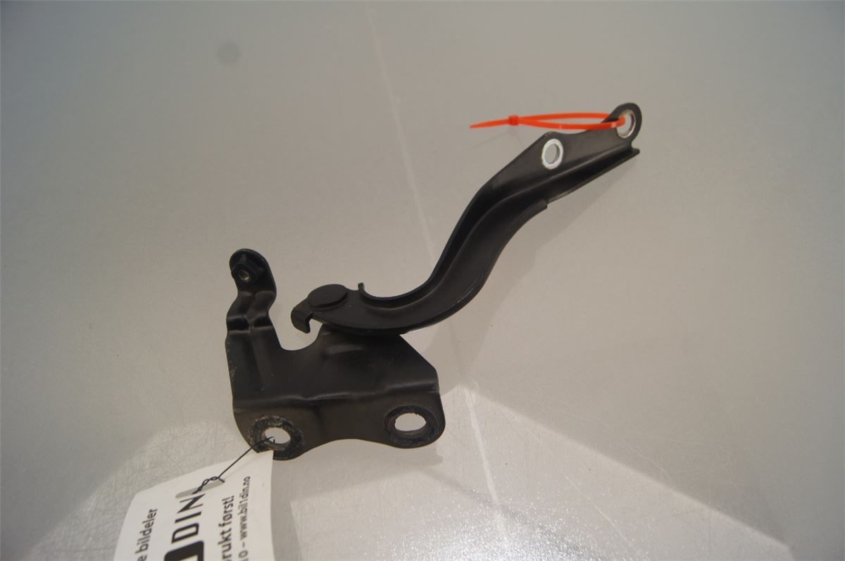 Panser Hengsel / Hengsler – bilde 1