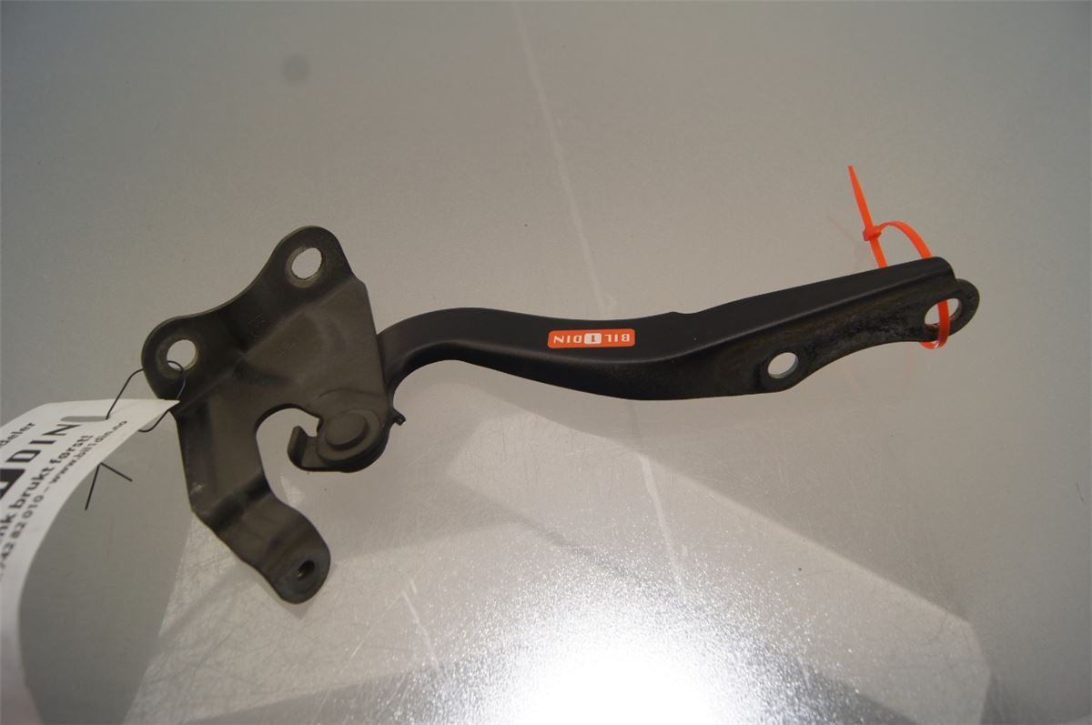 Panser Hengsel / Hengsler – bilde 2