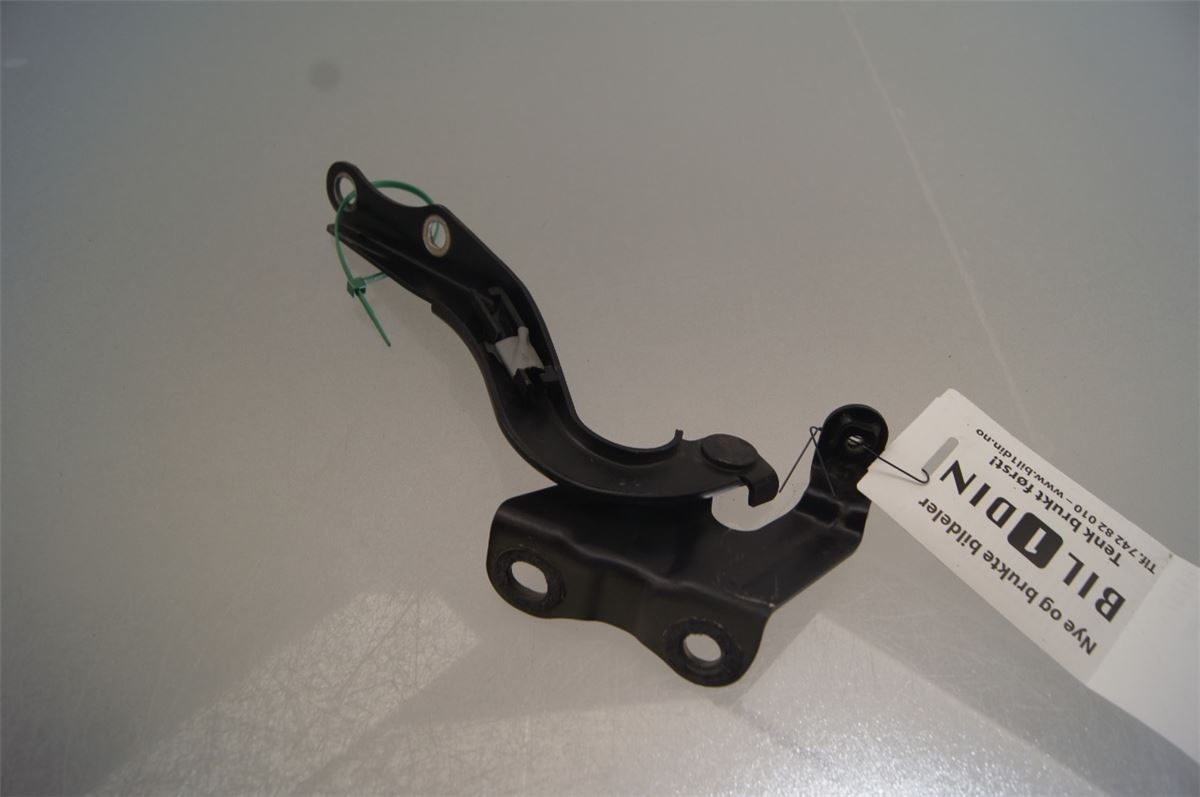 Panser Hengsel / Hengsler – bilde 1