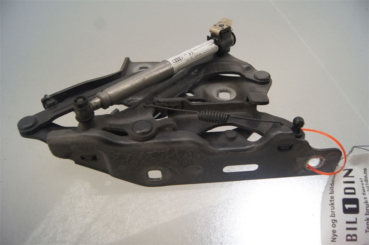 Panser Hengsel / Hengsler – bilde 2